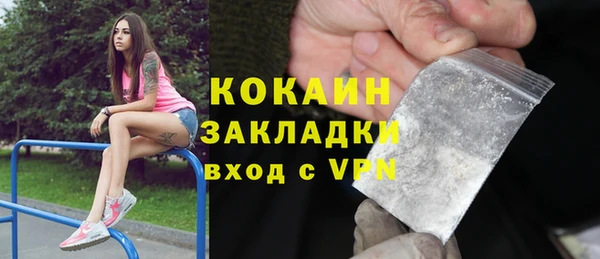 твердый Алзамай