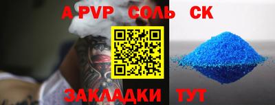 бошки Кингисепп