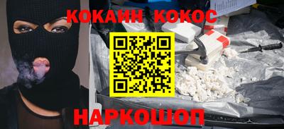 бошки Кингисепп