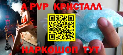 бошки Кингисепп