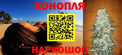 бошки Кингисепп