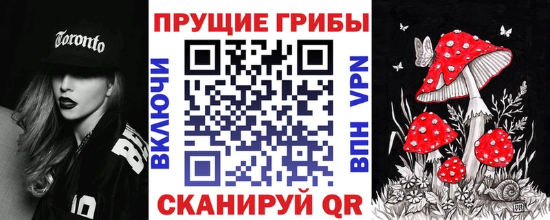 Галлюциногенные грибы Psilocybine cubensis  наркота  Крымск 